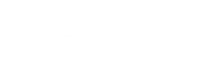 Americhip